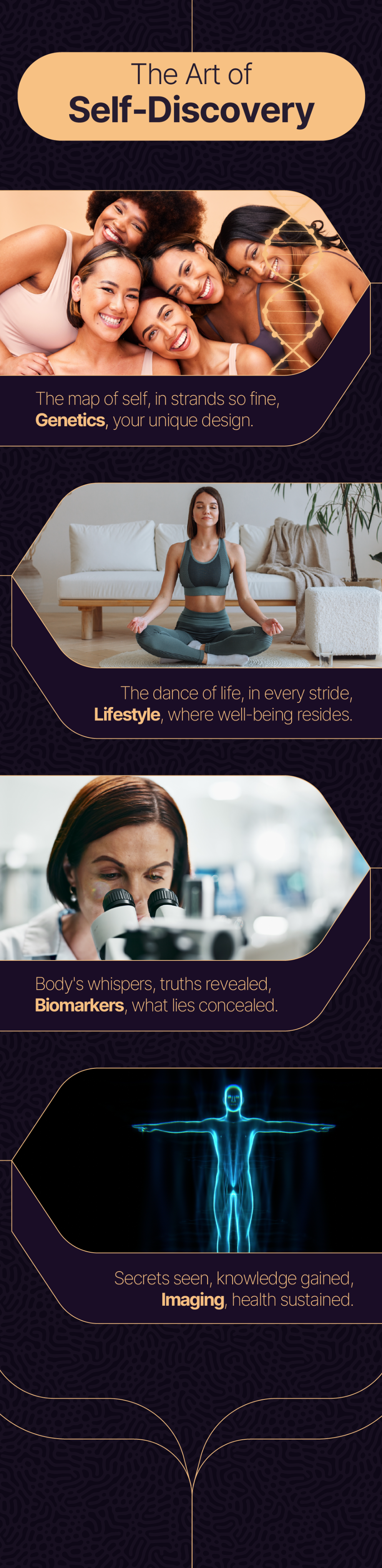 Longevity Lounge Section 4