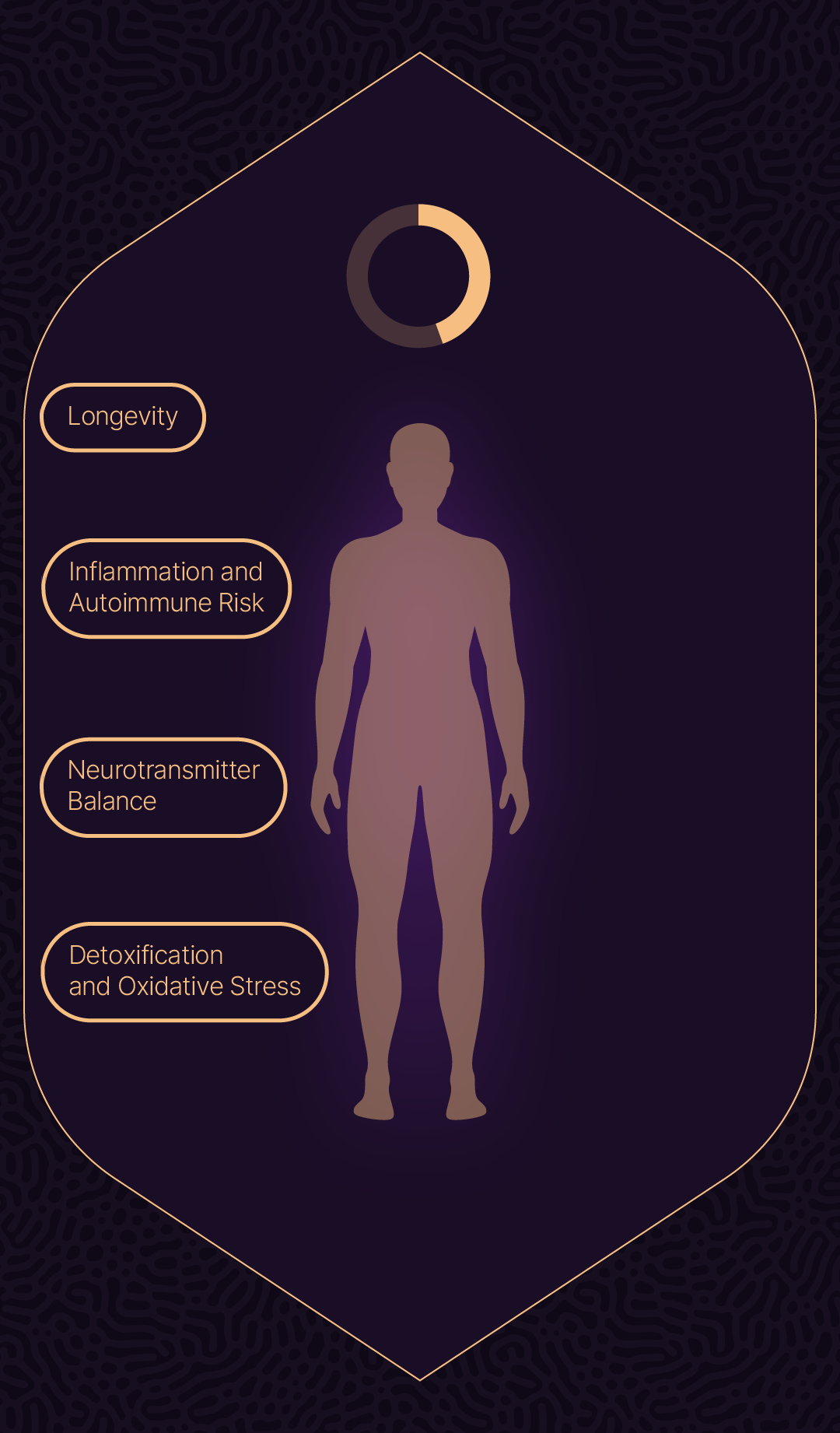 Longevity Lounge Section 9