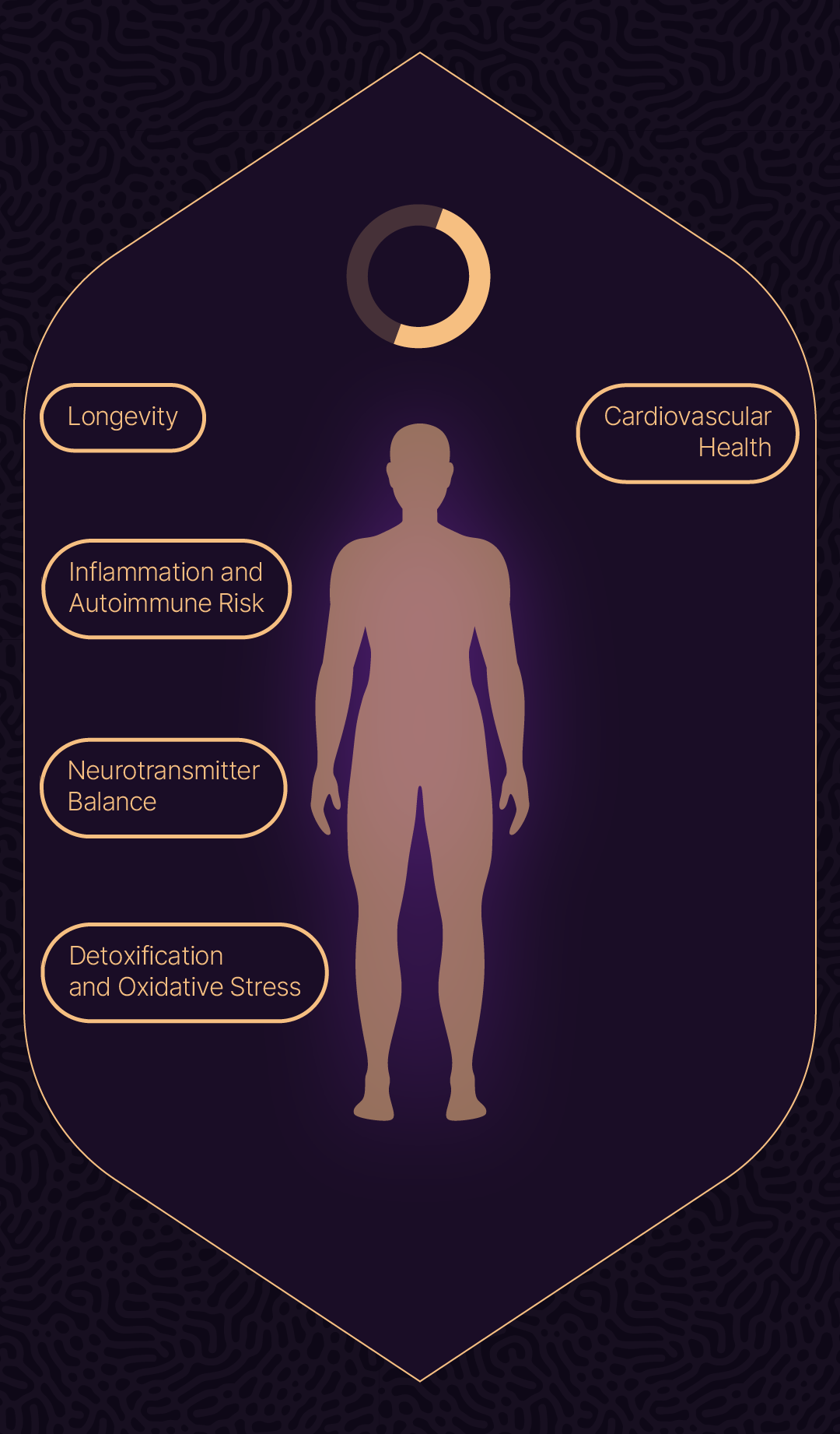 Longevity Lounge Section 10