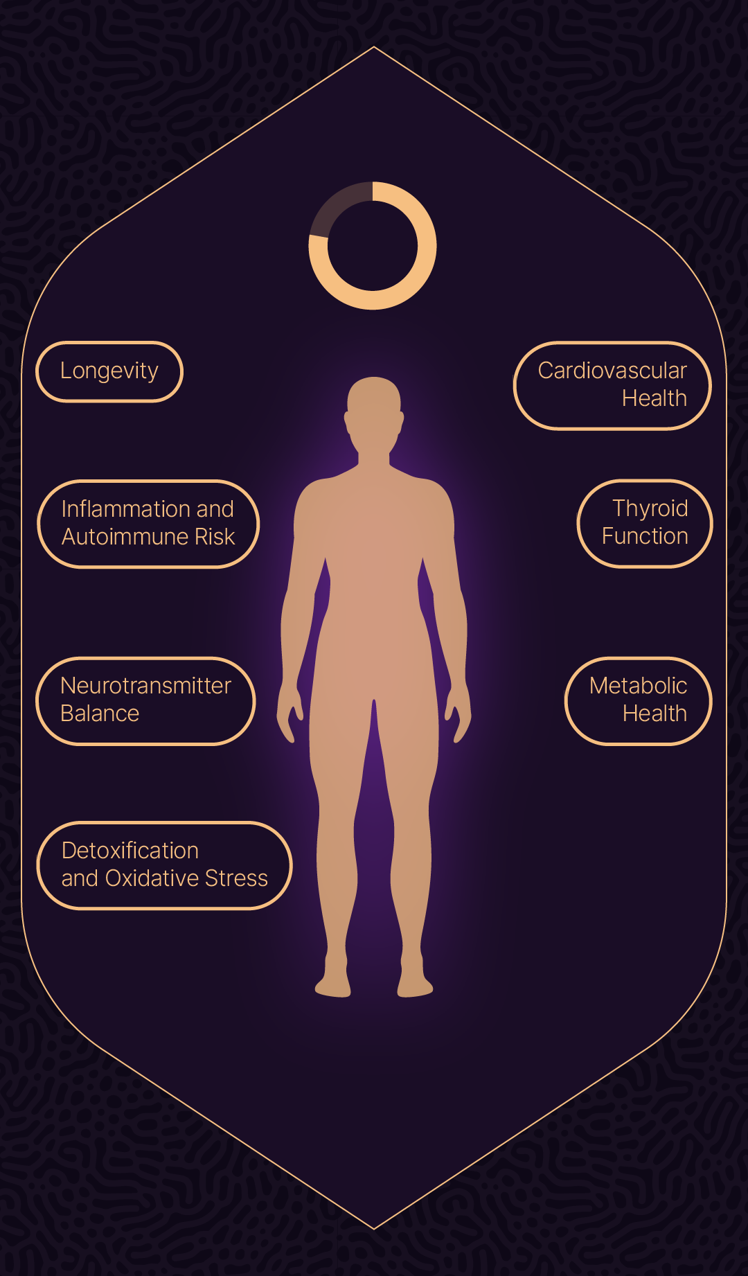 Longevity Lounge Section 12