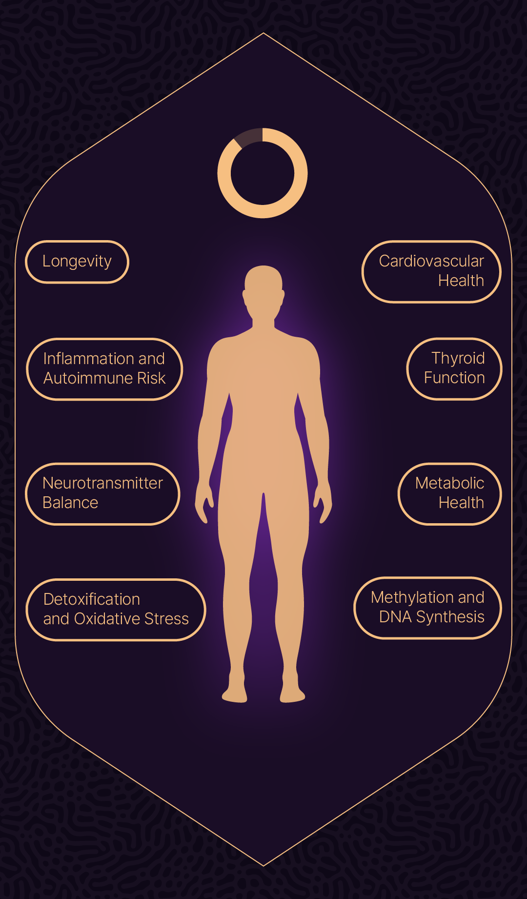 Longevity Lounge Section 13