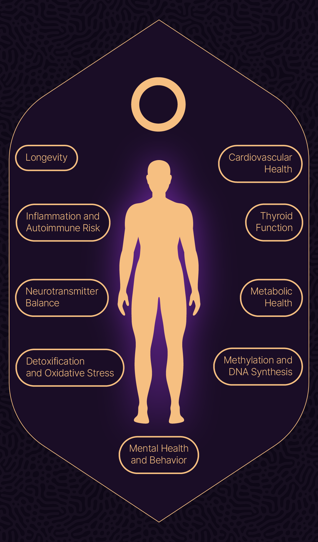 Longevity Lounge Section 14