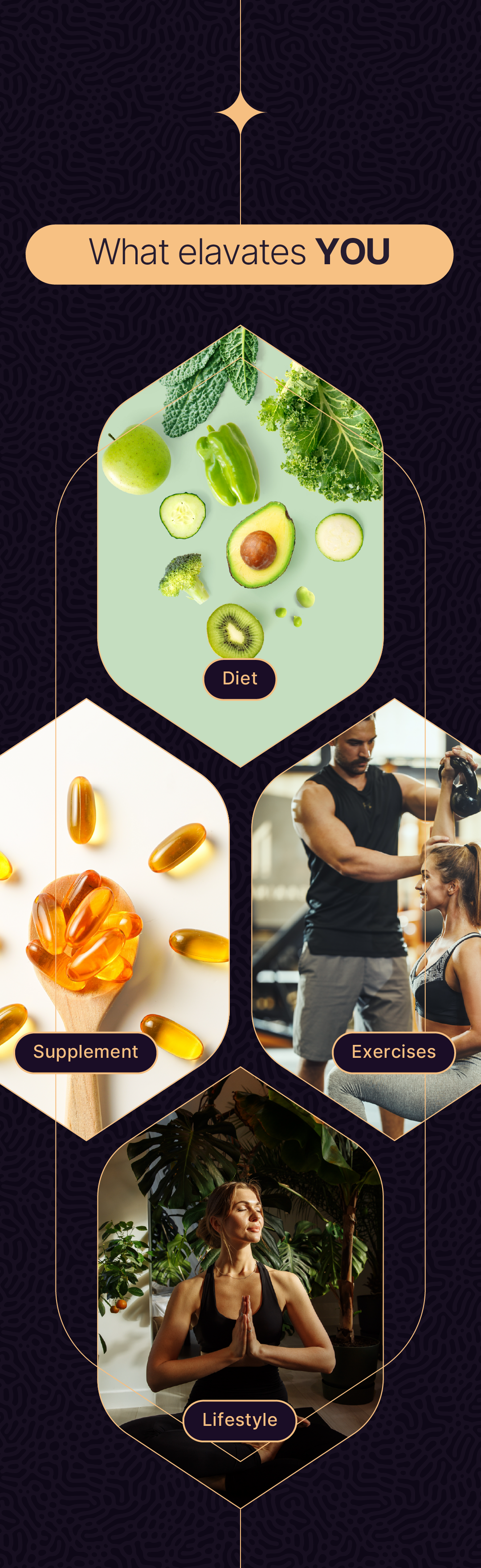 Longevity Lounge Section 15