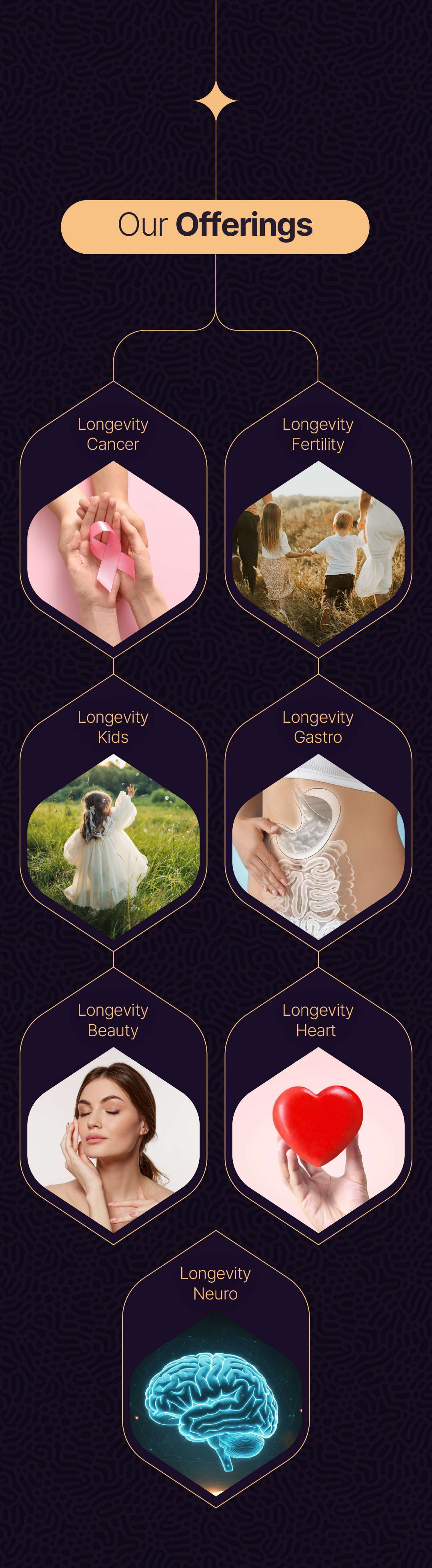 Longevity Lounge Section 17