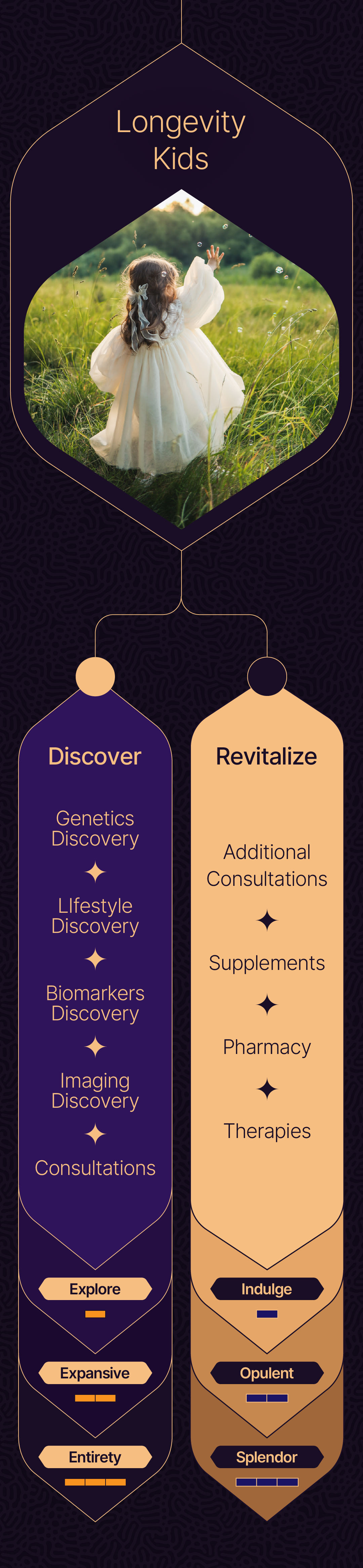 Longevity Lounge Section 20