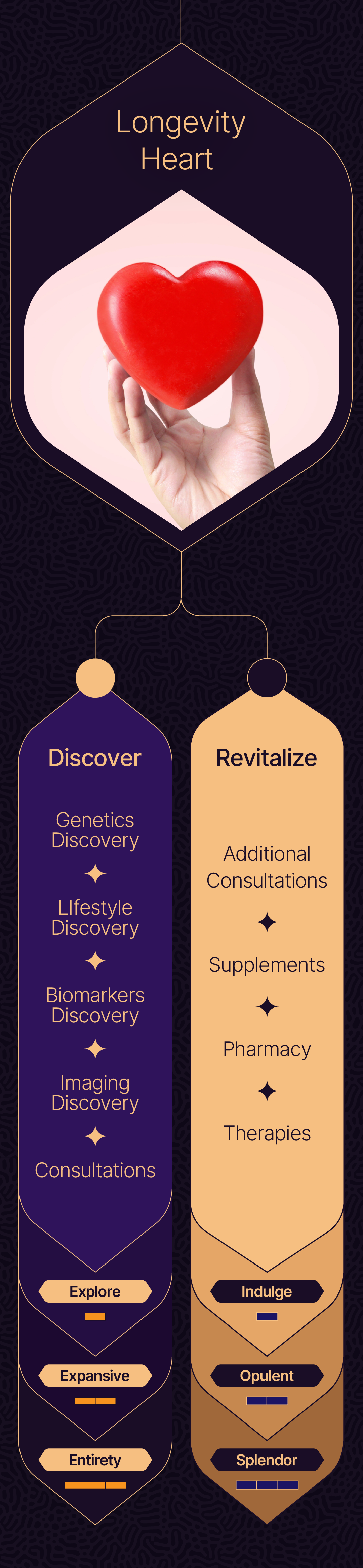 Longevity Lounge Section 23