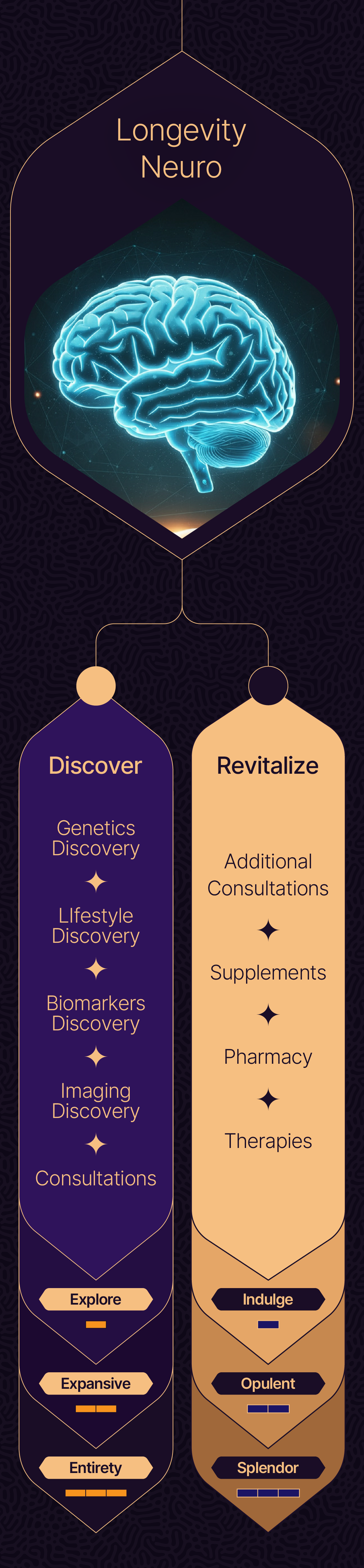 Longevity Lounge Section 24